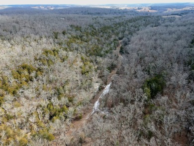 Nestled in the heart of nature, this exceptional 265+/- acre - photo 42
