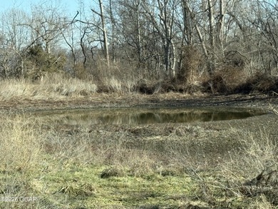 (private lake, pond, coastal) Acreage For Sale in Stark City Missouri