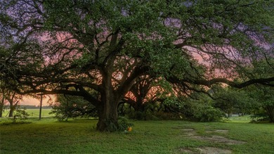 The kind of property that comes along once in a generation, this - photo 15