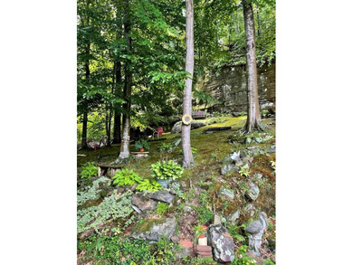 Cozy cottage located at Lake Malone !! This rare find has 3 - photo 37
