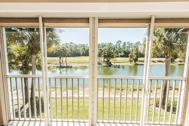 Welcome to 8440 Naples Heritage Way #1321-an inviting Abbey - photo 40