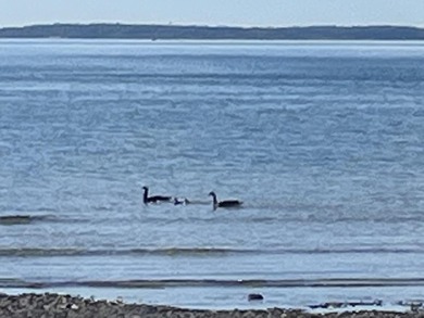 Lake Huron - Mackinac County Home For Sale in Bois Blanc Island Michigan