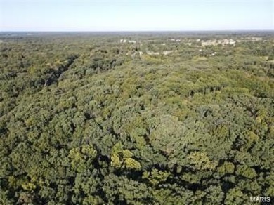 Lake Acreage For Sale in Monroe City, Missouri