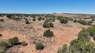 Very unique property with good access that have stunning views - photo 9
