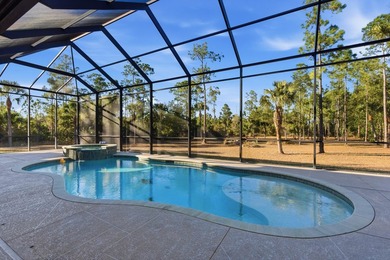 Set within the wide-open landscape of Golden Gate Estates, this - photo 10