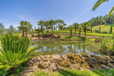Sited on a sun-struck knoll on 18+ acres surrounded by prime - photo 39