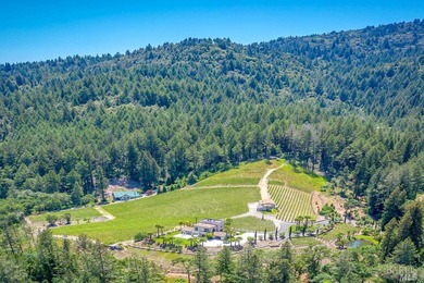 Sited on a sun-struck knoll on 18+ acres surrounded by prime - photo 40