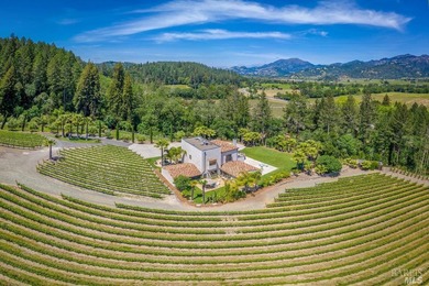 Sited on a sun-struck knoll on 18+ acres surrounded by prime - photo 41