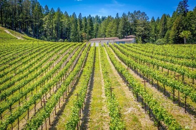 Sited on a sun-struck knoll on 18+ acres surrounded by prime - photo 42