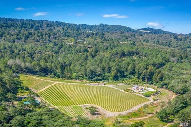 Sited on a sun-struck knoll on 18+ acres surrounded by prime - photo 49
