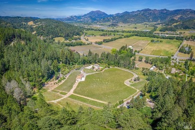 Sited on a sun-struck knoll on 18+ acres surrounded by prime - photo 50