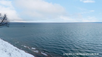 Lake Acreage For Sale in Ludington, Michigan