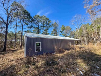 Dream Acreage - Private, Wooded, and Ready for Your Vision - photo 4