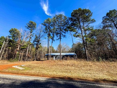Dream Acreage - Private, Wooded, and Ready for Your Vision - photo 9