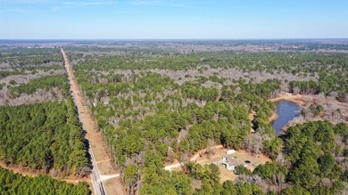 Dream Acreage - Private, Wooded, and Ready for Your Vision - photo 10