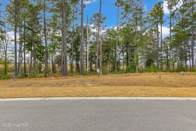 This 4+ acre homesite offers the perfect setting to create your - photo 14