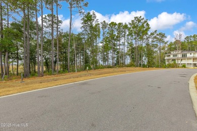This 4+ acre homesite offers the perfect setting to create your - photo 15