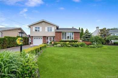 Beautifully renovated Split Level homes in the sought-after - photo 41
