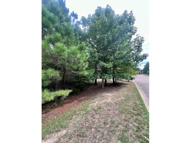 Highlands Lake  Lot For Sale in Oxford Mississippi