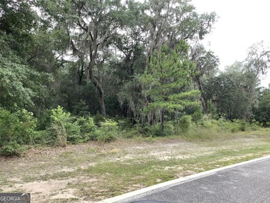 Build your dream home in the gated subdivision of Estates of - photo 2