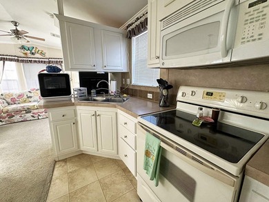 This charming 490 square feet Park Model home in Bonita Terra - photo 4