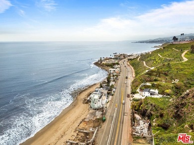 Situated in the highly desirable Las Flores Beach enclave on the - photo 5