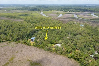 Wake up to breathtaking marshfront sunrises from this 1.13-acre - photo 1