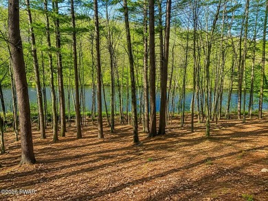 WAKE TO STUNNING RIVER VIEWS EVERY DAY! 1 acre Lot with Stunning - photo 4
