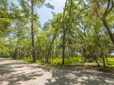 Wake up to breathtaking marshfront sunrises from this 1.13-acre - photo 6
