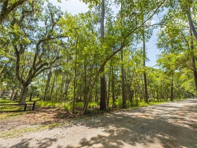 Wake up to breathtaking marshfront sunrises from this 1.13-acre - photo 7