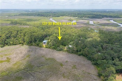 Wake up to breathtaking marshfront sunrises from this 1.13-acre - photo 10