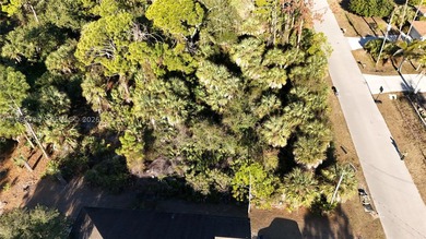 Build your dream home on this 0.23-acre vacant lot located on a - photo 9