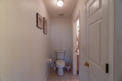 This stunning 3-bedroom, 2-bathroom home on Anastasia Island is - photo 9