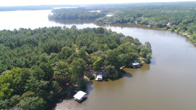 WATERFRONT HOME- HOUSTON COUNTY LAKE! - Lake Home For Sale in Crockett, Texas