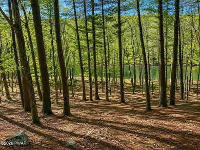 Lackawaxen River View Building Site - Your Dream Awaits! Imagine - photo 1