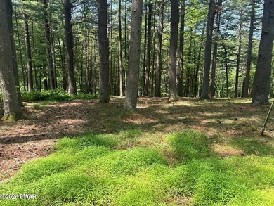 Lackawaxen River View Building Site - Your Dream Awaits! Imagine - photo 2