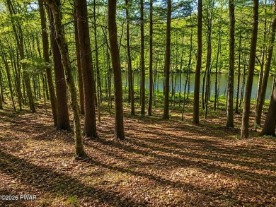 Lackawaxen River View Building Site - Your Dream Awaits! Imagine - photo 3