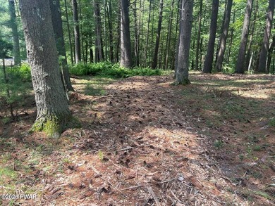 Lackawaxen River View Building Site - Your Dream Awaits! Imagine - photo 4