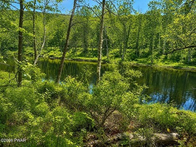 Lackawaxen River View Building Site - Your Dream Awaits! Imagine - photo 6