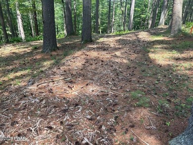 Lackawaxen River View Building Site - Your Dream Awaits! Imagine - photo 7