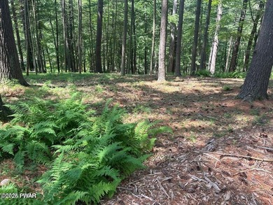 Lackawaxen River View Building Site - Your Dream Awaits! Imagine - photo 10