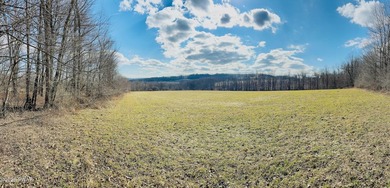 A true 180-acre Wayne County farm with productive hayfields - photo 5