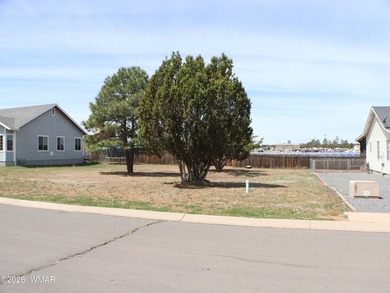 There are only a couple of lots left in Full House Estates. Nice - photo 3