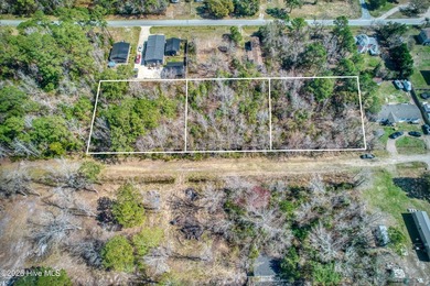 This nearly half-acre wooded lot in Snug Harbor offers the - photo 1