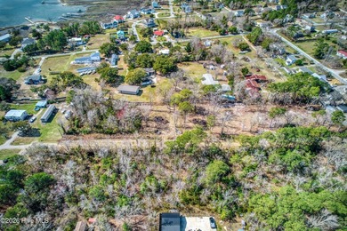 This nearly half-acre wooded lot in Snug Harbor offers the - photo 10