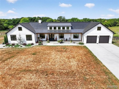 Lake Home For Sale in Waterloo, Illinois