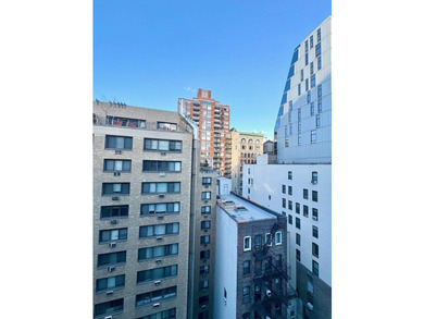 16 West 16th Street Unit 12NN for Sale. South facing studio - photo 11