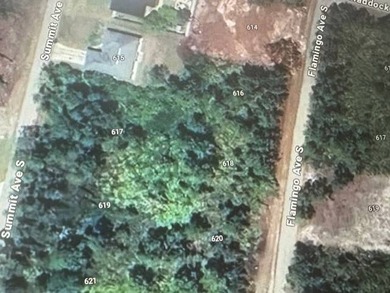 Lehigh Acres Area Lot For Sale in Lehigh Acres Florida