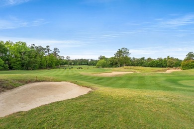 Experience the perfect blend of coastal living and a golfer's - photo 20