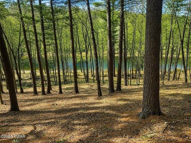 STUNNING DOUBLE LOT OVERLOOKING LACKAWAXEN RIVER- FANTASTIC - photo 1